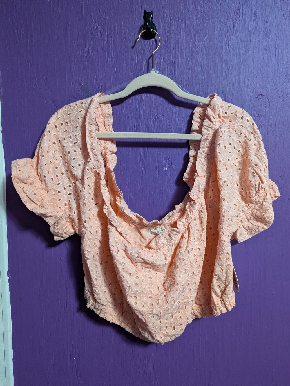 💜 NWT Jolie & Joy Pink Eyelit Short Sleeve Lined Crop Top 3X 22 24